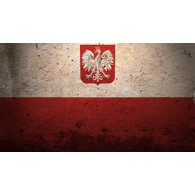 -1DP emblem