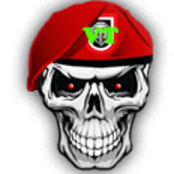 RO-VT emblem
