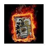3SD emblem