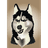 HU5KY emblem