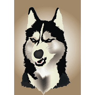 HU5KY emblem