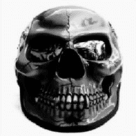 SHOJ emblem