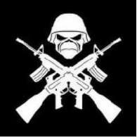 BSDS emblem