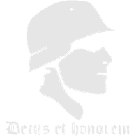 STLN emblem