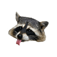 COONZ emblem