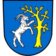 -G0AT emblem