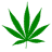 C4L emblem