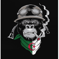 -BIG emblem