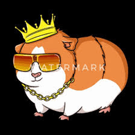 SO_TR emblem