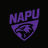 NAPU emblem