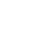 VG_UA emblem