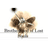 BO-LS emblem