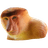 JANUE emblem