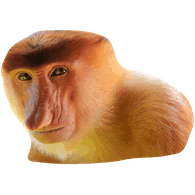 JANUE emblem