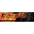 SKIND emblem