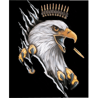 PB_OB emblem