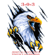 3-0-3 emblem