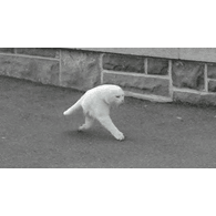 SIPE emblem