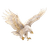 FR4G emblem