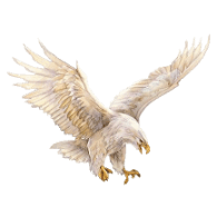 FR4G emblem