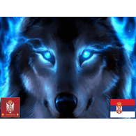 VSRB emblem
