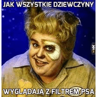 CZIC emblem