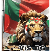 VISBG emblem