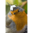P_S_B emblem