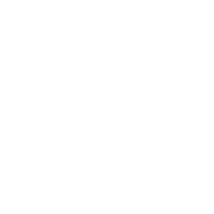 V98 emblem