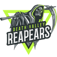DVR- emblem
