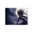 DSOTM emblem