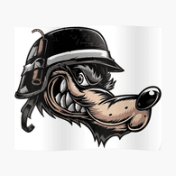 DVC1 emblem