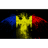 TDRO emblem