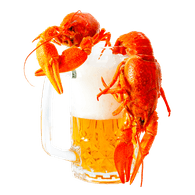 M1LFS emblem