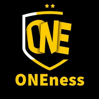 1NESS emblem