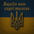 NQN emblem