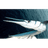 O_D_M emblem
