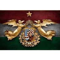 F-T_C emblem