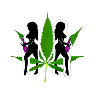 WELWI emblem