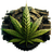 SWAGA emblem