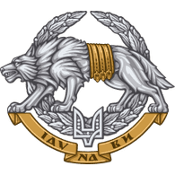 C_C_O emblem
