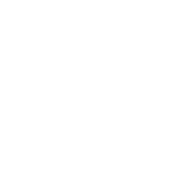 XX emblem