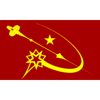 NDI emblem