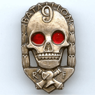 FBLIS emblem