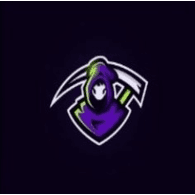 SGS_T emblem