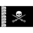 HELSS emblem