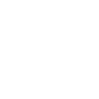 DVNT emblem