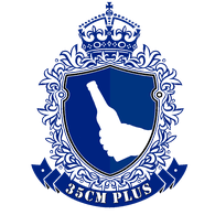 35CM emblem