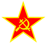 T_S-C emblem