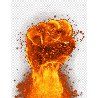 RABOT emblem